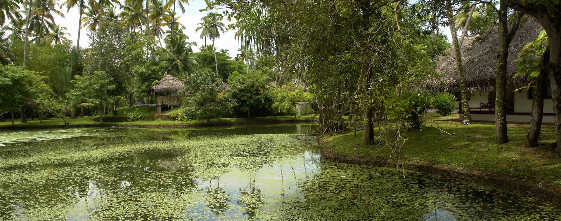 Marari Beach Resort - CGH Earth